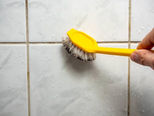 Best Affordable Mold Removal  in Brook Park, OH