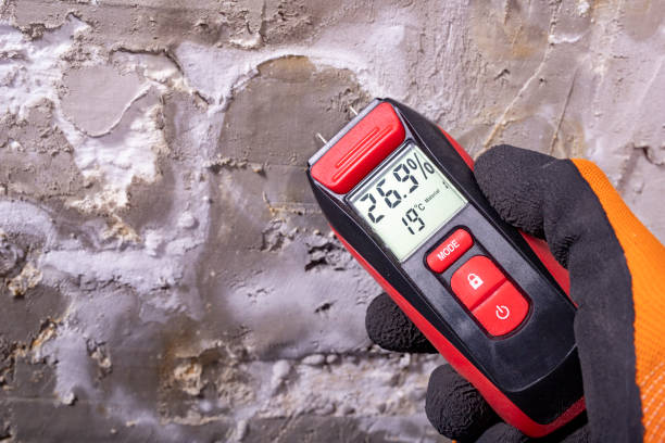 Best Black Mold Removal  in Brook Park, OH