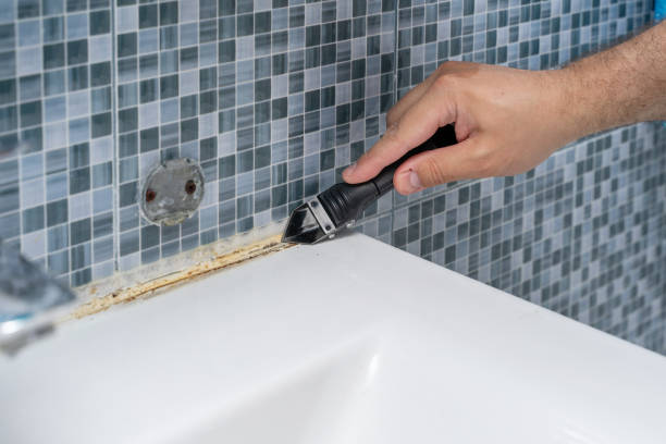 Best Professional Mold Removal  in Brook Park, OH
