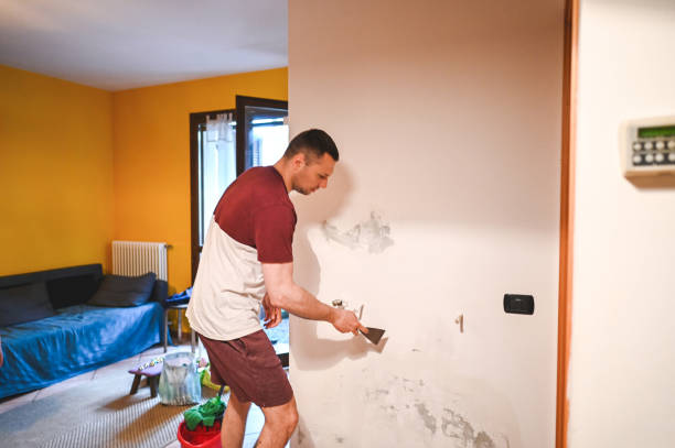 Best Mold Removal Company Near Me  in Brook Park, OH
